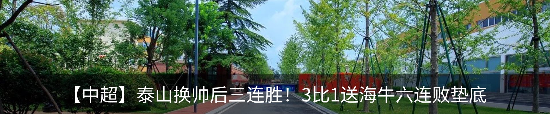 行业资讯