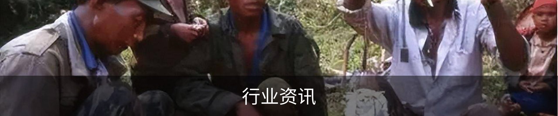 行业资讯