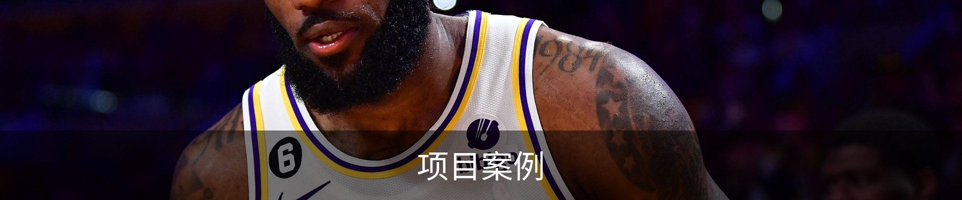 项目案例